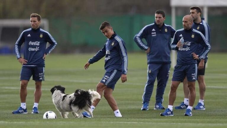 Messi ya entrenó con la Selección y revisan a Dybala