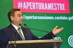 Mestre abrió el juego de cara a la candidatura en la provincia.