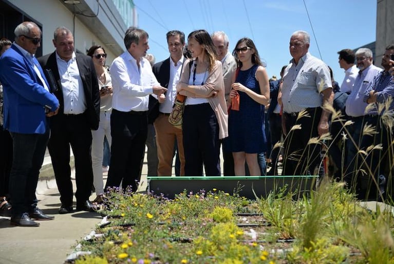 Mestre inauguró la terraza verde del Palacio 6 de Julio