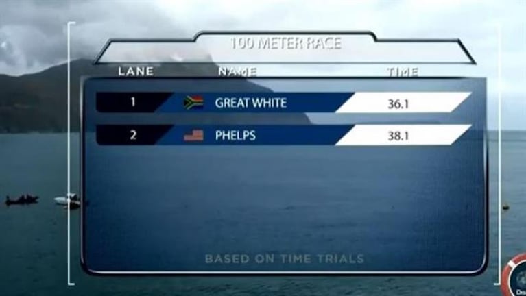 Michael Phelps contra el tiburón blanco: el ganador es…
