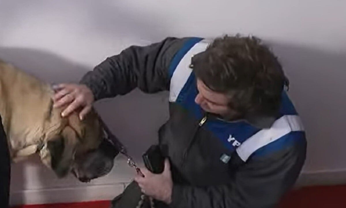 Milei fue con su perro Conan a una entrevista, habló de sus cinco mascotas y donó dinero para un refugio