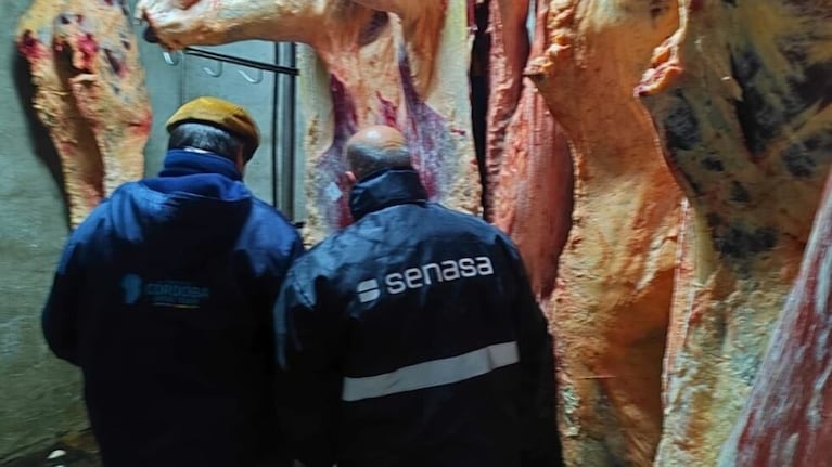 Miles de kilos de carne y cientos de animales: así era el matadero clandestino que cerraron en Córdoba