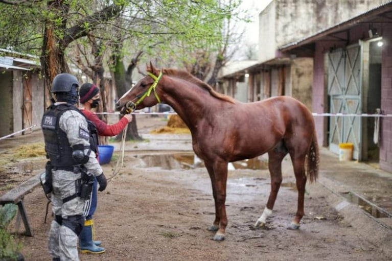 Millonario megaoperativo por cocaína en el Hipódromo del Jockey Club de Córdoba