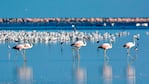 Miramar de Ansenuza se convirtió en Parque y Reserva Nacional. 