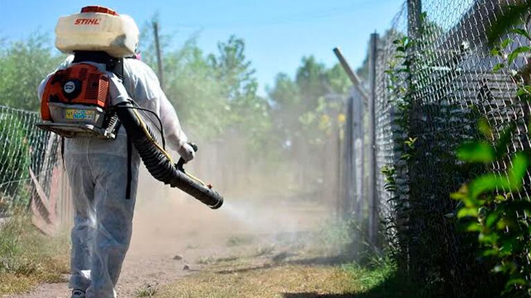 Misiones es la provincia más afectada por el dengue.