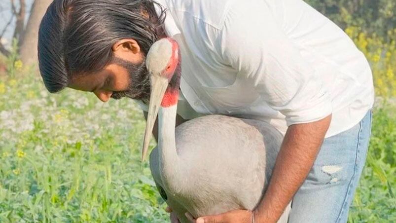 Mohammed Arif forjó una amistad con una grulla sarus.