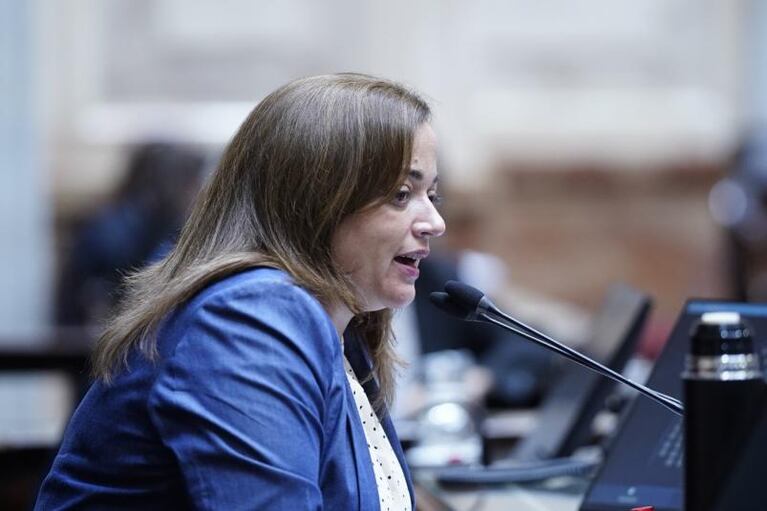 Moreau convocó a debatir "temas urgentes" como Moratoria Previsional, Monotech y Universidades
