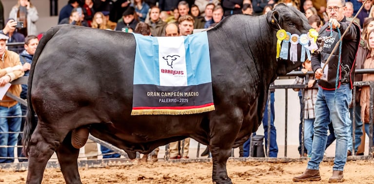 Morocho llevó a la ganadería argentina a la cima mundial.