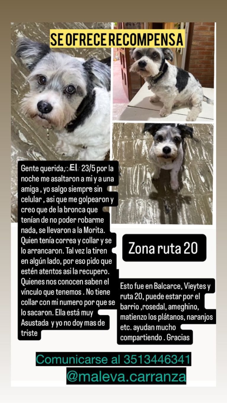 Motochoros la asaltaron y le robaron la perrita.