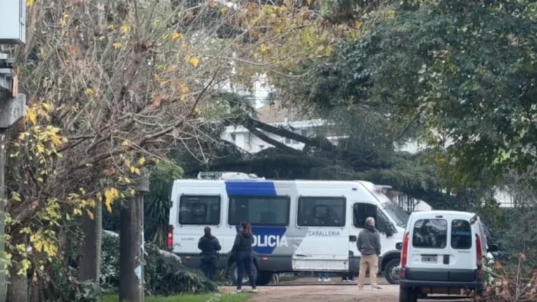 Murió Indio Solari, esfinge de la cultura argentina.