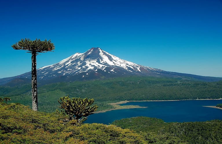 Murió tras caer de un volcán: cayó desde 600 metros.
