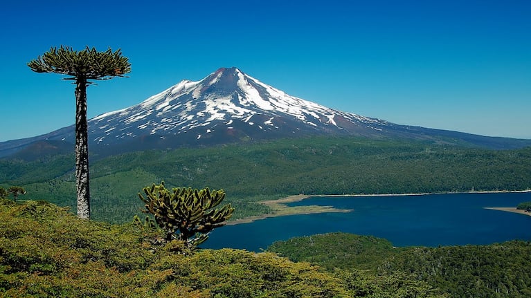 Murió tras caer de un volcán: cayó desde 600 metros.