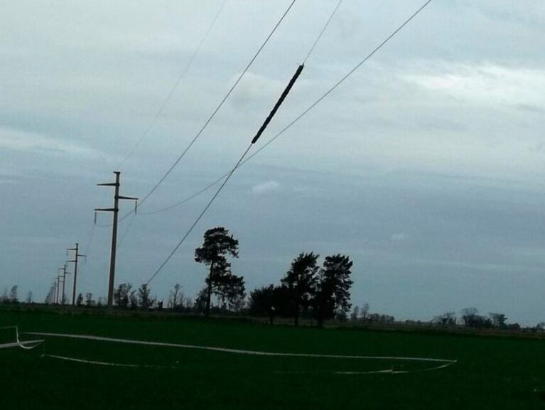 Murió un piloto cordobés al estrellarse su avioneta