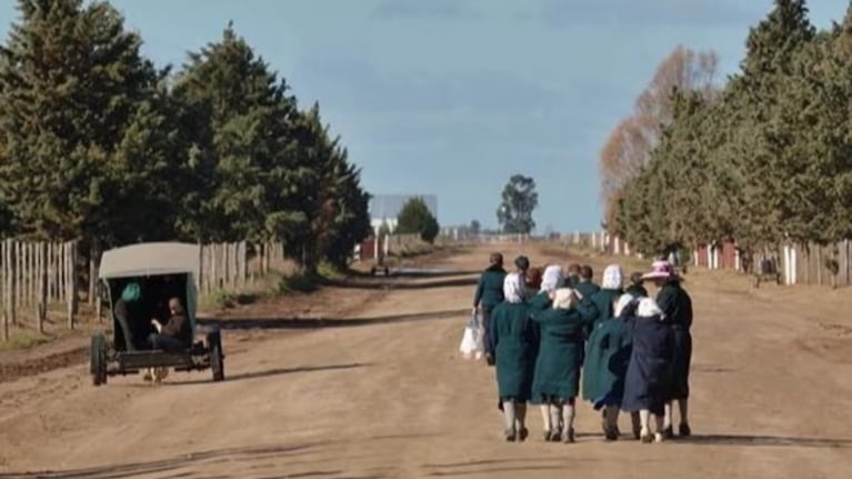 Murió una nena de 5 años que se ahogó con semillas de girasol en La Pampa