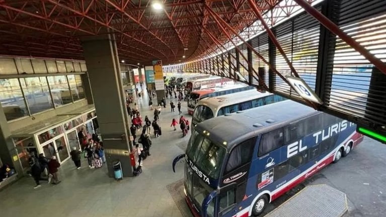 Nación argumenta que hoy “transportistas pueden fijar los libremente precios”.