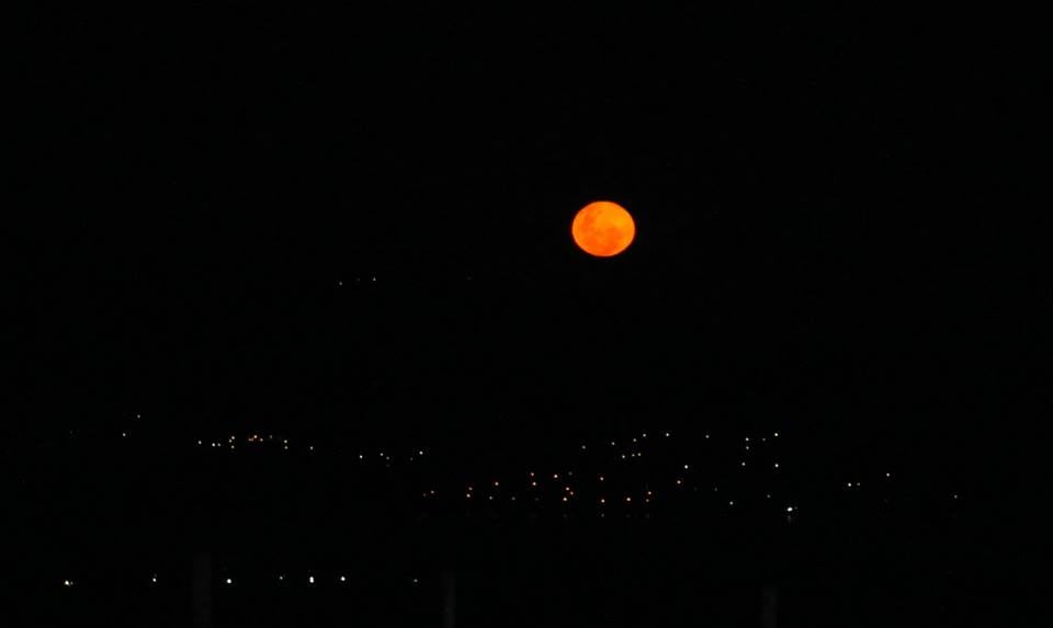 Nani Genaro. Luna de fresa en Córdoba.