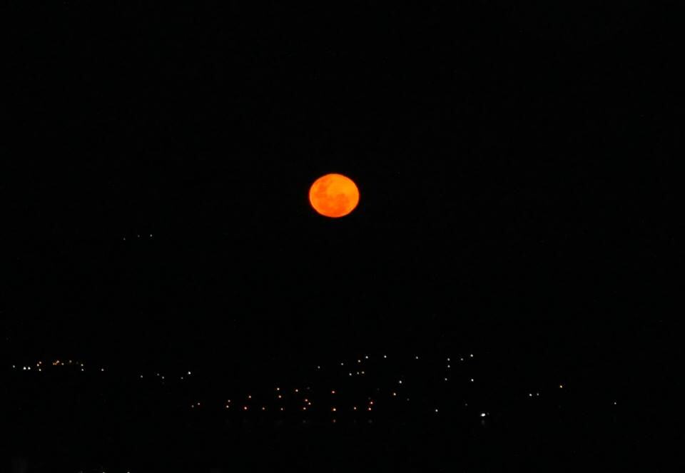 Nani Genaro. Luna de fresa en Córdoba.