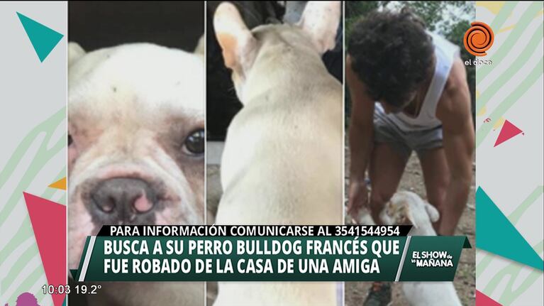 Nazareno Casero busca a su perro extraviado