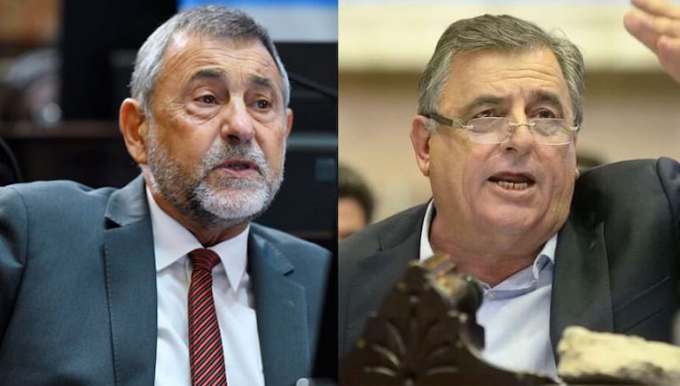 Negri y Caserio ocuparon cargos en el Congreso desde 1993 y 2003 respectivamente.