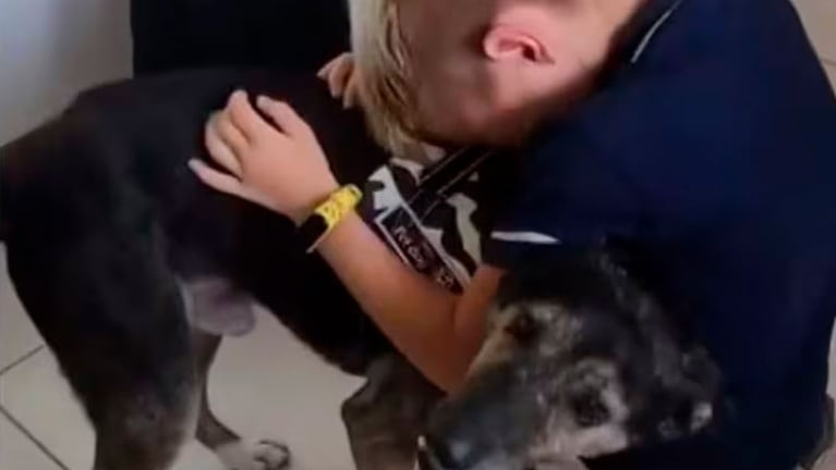 nene despedida perro