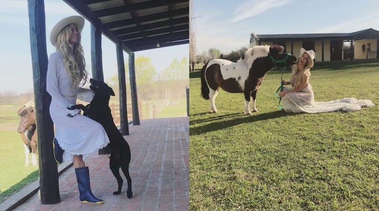 Nicole Neumann adora a los animales y tiene una chacra donde viven los que rescata.