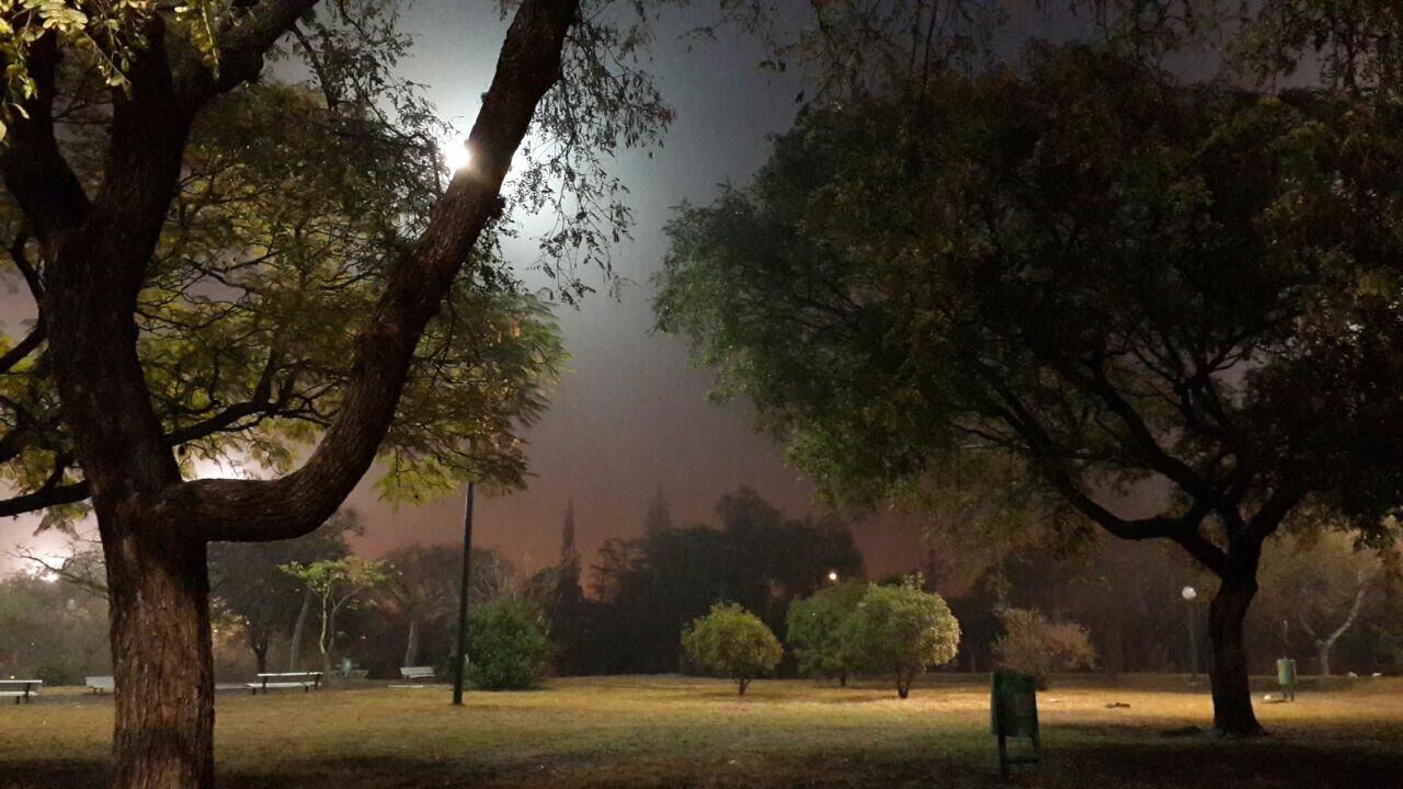 Niebla en Córdoba. Foto: Sebastián Pfaffen.