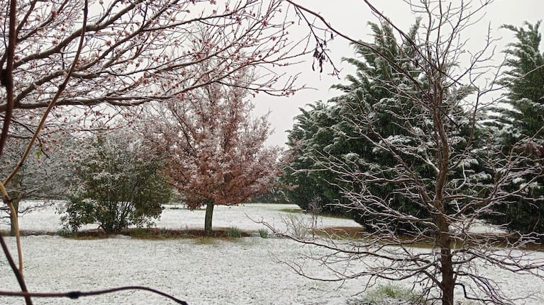 Nieve en Achiras, Córdoba ( Gentileza: Digital Sampacho)