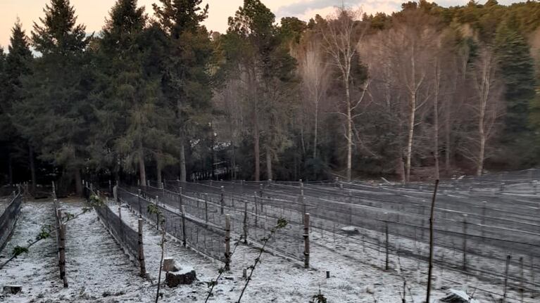 Nieve en Córdoba.