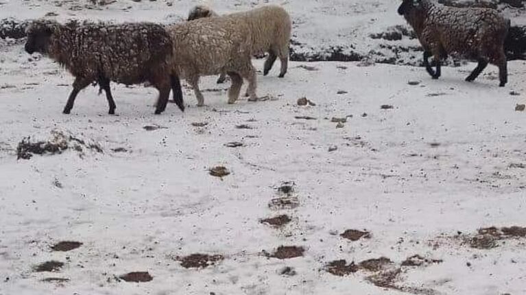 nieve en las altas cumbres