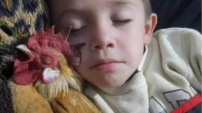 Noah y Pipino durmiendo juntos