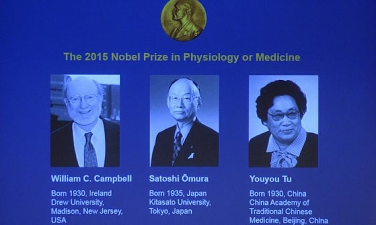 Nobel de Medicina para tratamientos contra parásitos y malaria