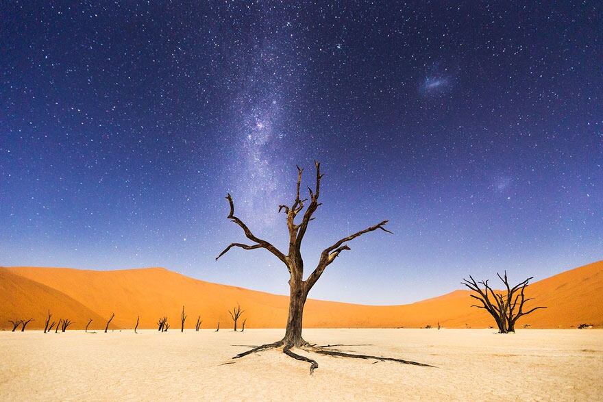 Noche en Deadvlei. Bet McCarley registró una hermosa postal en Namibia