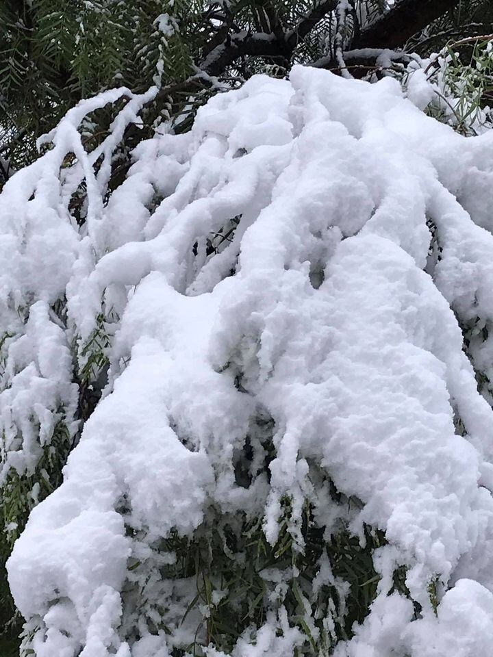 Nora Aicardi mostró la postal nevada en Estancia Vieja.