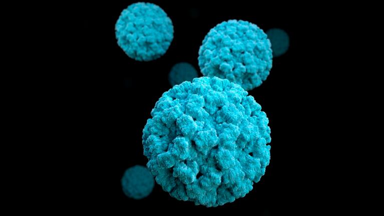 Norovirus, el “virus del vómito” que alerta al Reino Unido por la contagiosidad
