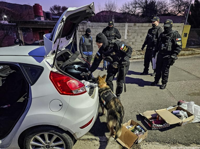Nueve detenidos por conformar una importante banda narco: tenían puntos para vender y guardar