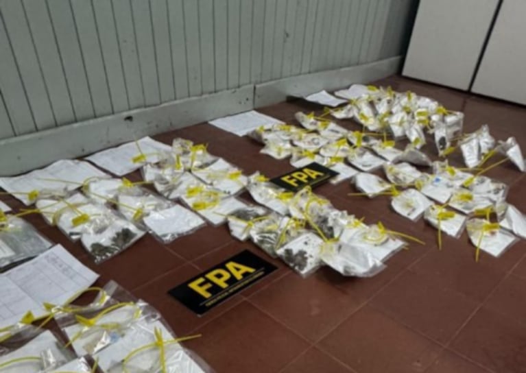 Ocho detenidos, drogas y casi 100 alcoholemias positivas por el recital de La Renga en Córdoba