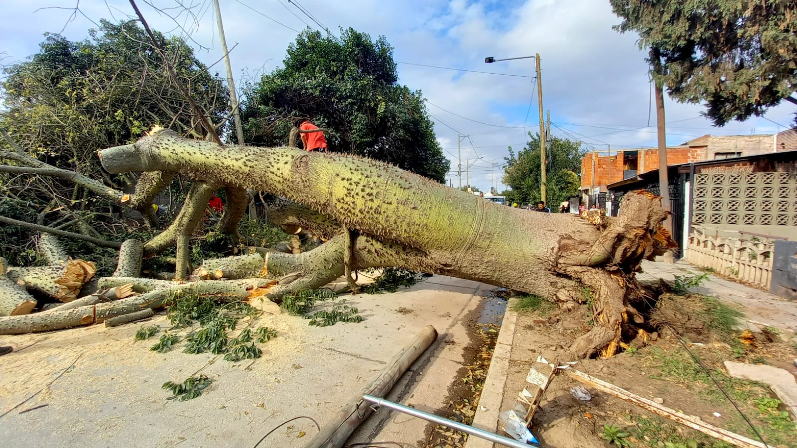 Ocurrió en barrio Patricios (FOTO: El Doce / Mateo Lago)