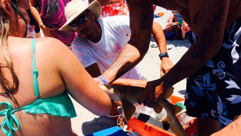 Ocurrió en un playa del sur de Estados Unidos. 