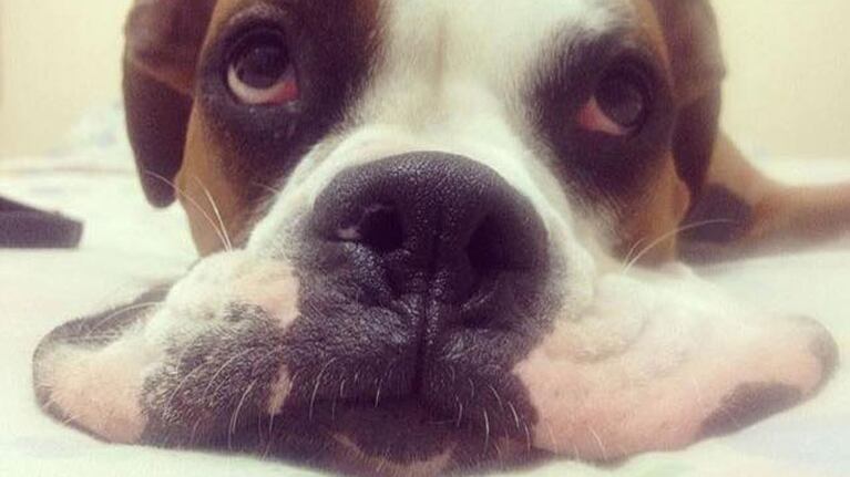 Oscar causa furor en las redes sociales.