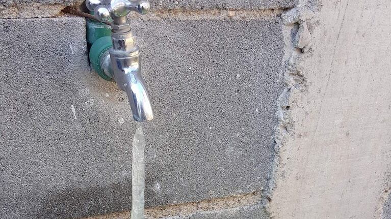 Otro balde congelado. foto de Andrea González.