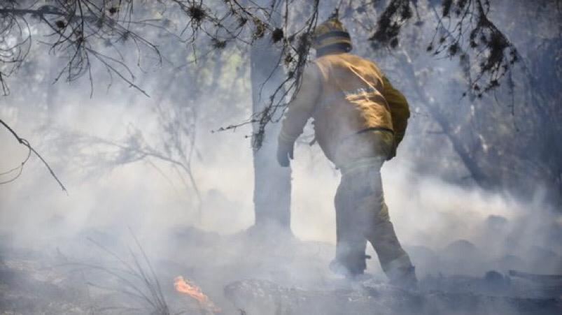 Otro día con mucho fuego en el interior provincial. 