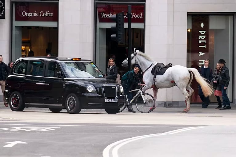 Pánico en el centro de Londres por caballos de la Guardia Real que escaparon y enloquecieron