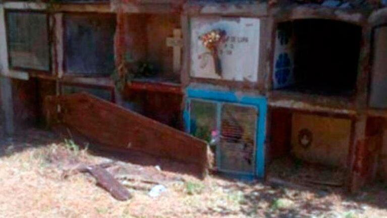 Pánico en un cementerio: perros se comen cadáveres