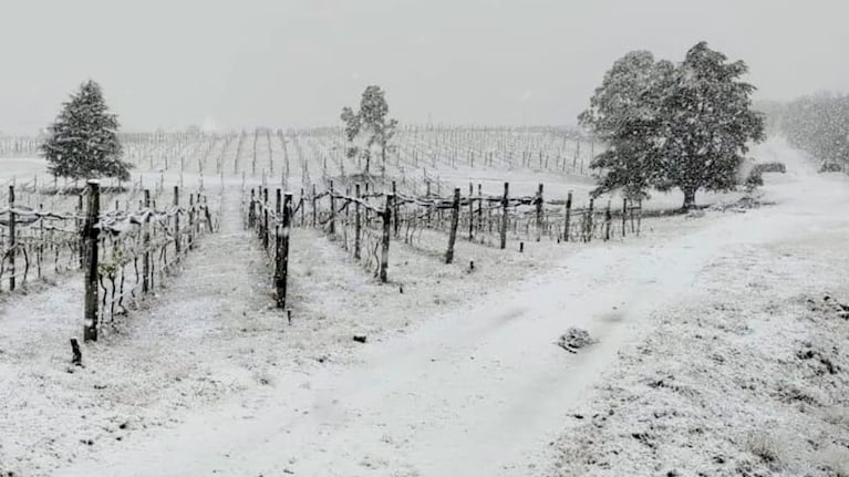 Para el jueves se espera que suban las temperaturas.
