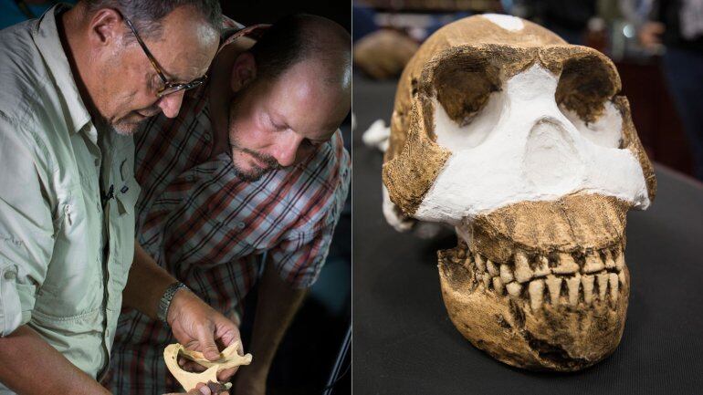 Para los científicos es una nueva especie del género humano. Foto: AFP