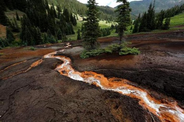 Paraíso tóxico: así se contaminó para siempre un río