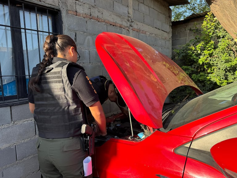 Parte de la droga incautada durante los allanamientos en la ciudad.