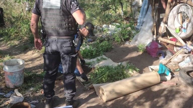 Parte de lo secuestrado en una vivienda de Cosquín.