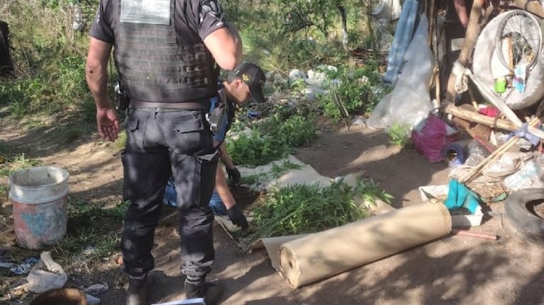 Parte de lo secuestrado en una vivienda de Cosquín.