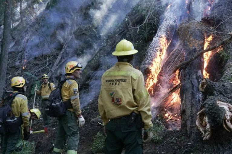 Patagonia en llamas: se incendian miles de hectáreas
